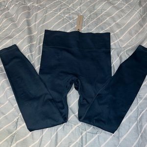 Aritzia Babaton Profile Seamless Leggings